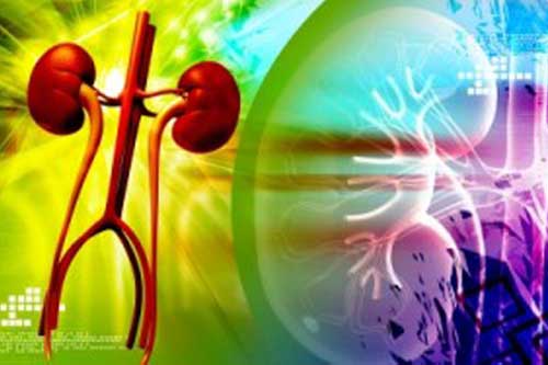 web-organdonation-ID-100273